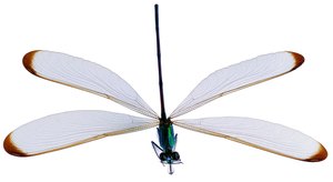 曲沃縣戶外箱包有限責任公司