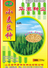 小麥種子包裝的選擇與市場(chǎng)供應(yīng)分析